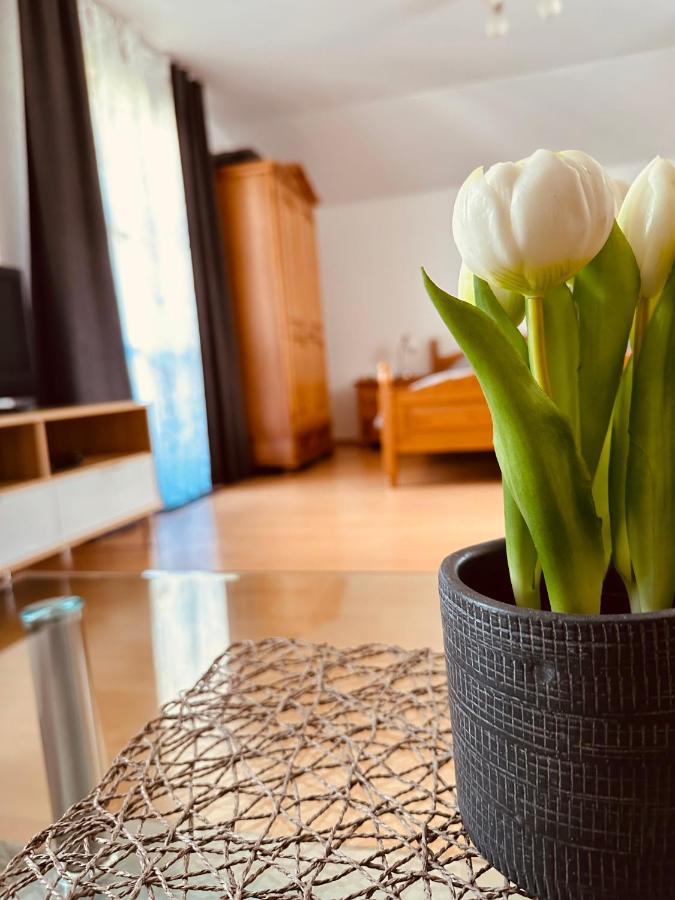 Woidpanorama Ehemals Haus Heike Apartment Neuschönau Екстериор снимка